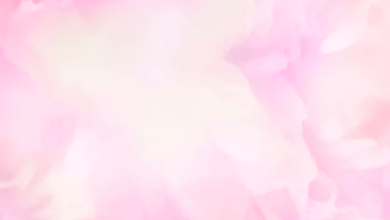 Wallpaper:1eu_Fdrr_Vm= Light Pink Background