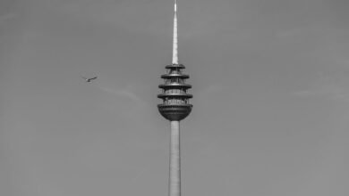 telecommunication fraud detection office