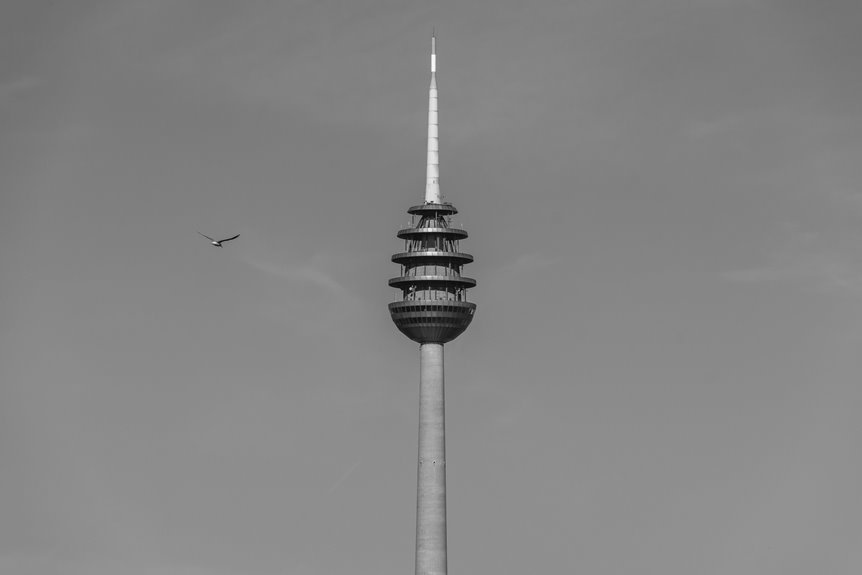 telecommunication fraud detection office