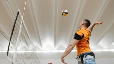 momentum nexus phone numbers